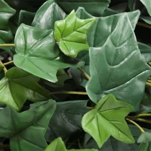 AGL Vistafolia Texture Boxes